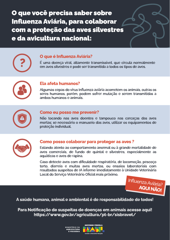 INFOGRAFICO 12 WEB CORRIGIDO 1