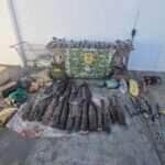 Idosa e detida em Barao de Melgaco por suspeita de pesca proibida e acumulo de pescado