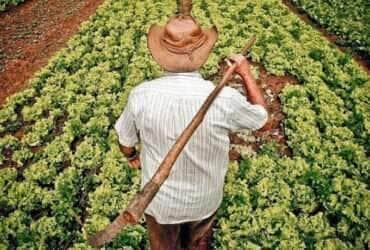 Incra recebe prazo da justiça para regularizar terras e assentar comunidades quilombolas em Mato Grosso