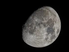 Lua cheia