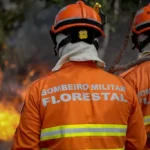 Mato Grosso recebe congresso internacional sobre combate a incêndios florestais