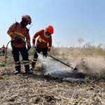 Período proibitivo do uso do fogo no Pantanal começa dia 1º com reforço no monitoramento