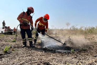 Período proibitivo do uso do fogo no Pantanal começa dia 1º com reforço no monitoramento