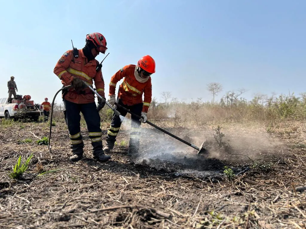 Período proibitivo do uso do fogo no Pantanal começa dia 1º com reforço no monitoramento