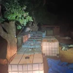 Polícia fecha posto clandestino que abastecia garimpo em Pontes e Lacerda (MT)
