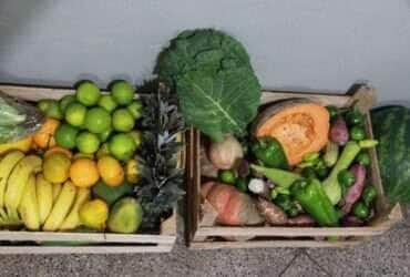 Prefeitura de Várzea Grande realiza chamamento público e fomenta agricultura familiar