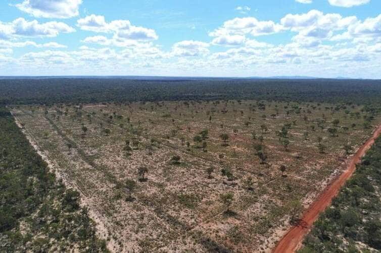Produtor rural de Mato Grosso deve pagar R 308 mil e recuperar area degradada
