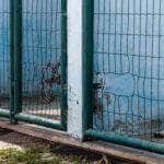 Protecao animal em Rondonopolis