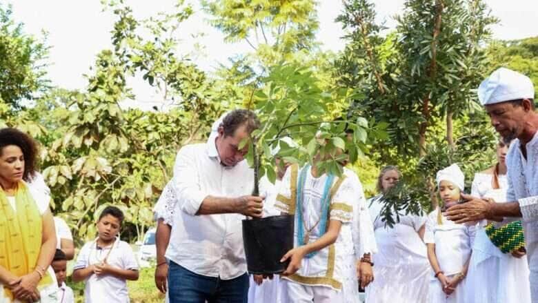 Varzea Grande recebe 1a muda de Baoba plantada em APP publica de Mato Grosso