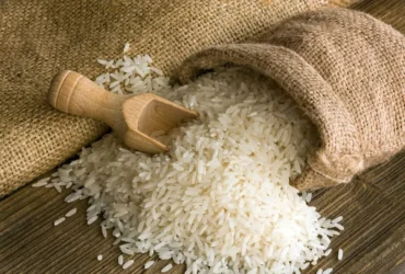 arroz