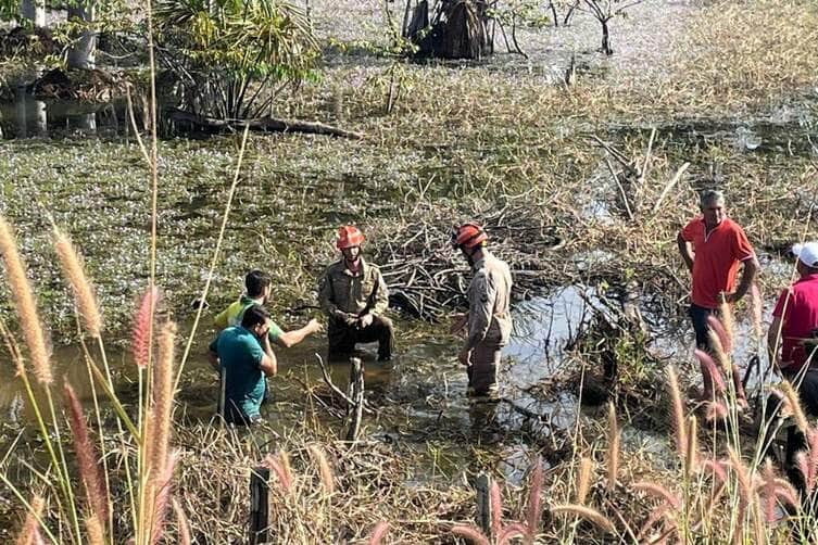 Grave acidente na MT-419 deixa duas pessoas feridas e uma morta entre Guarantã do Norte e Novo Mundo 82 Corpo de Bombeiros resgatou vítimas de carro capotado em área pantanosa e localizou corpo de jovem desaparecido a cerca de 45 metros do veículo