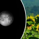 calendário lunar