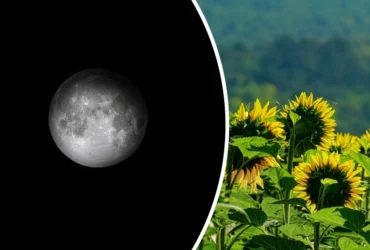 calendário lunar