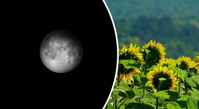 calendário lunar