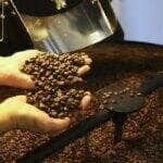 Pequenas torrefações preparam grãos especiais de café