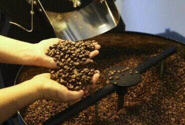 Pequenas torrefações preparam grãos especiais de café