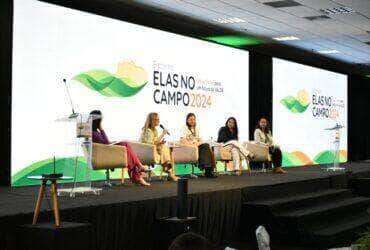 elas no campo painel