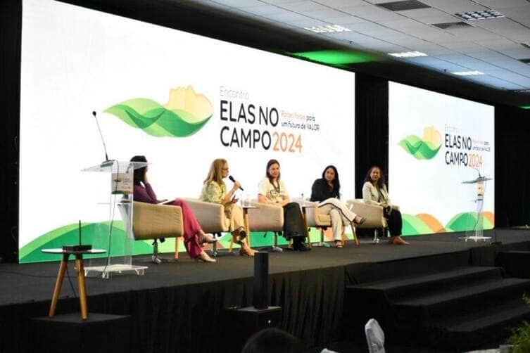 elas no campo painel