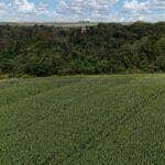 fazenda e area de preservacao