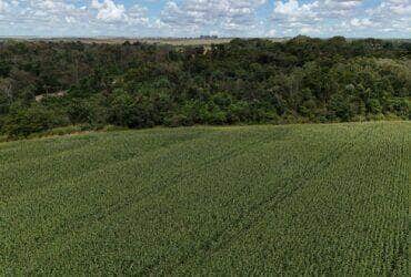 fazenda e area de preservacao