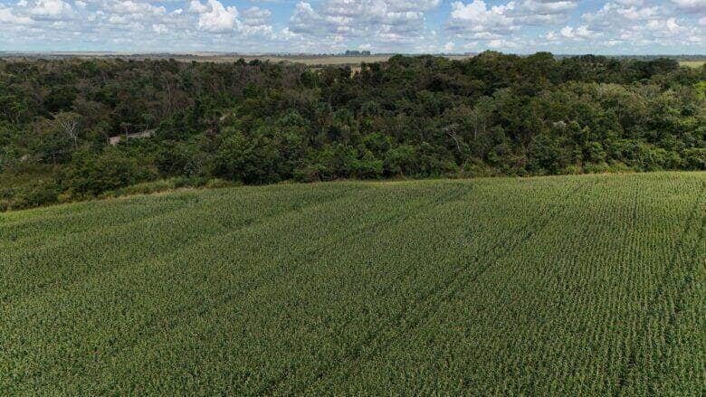 fazenda e area de preservacao