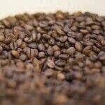Pequenas torrefações preparam grãos especiais de café