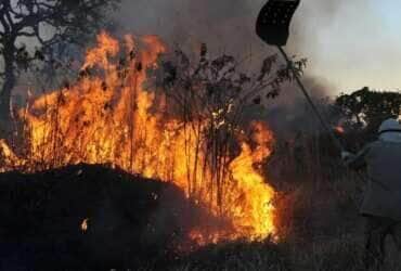 Incêndios florestais no DF