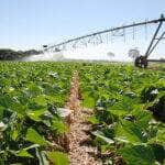 irrigacao agricultura