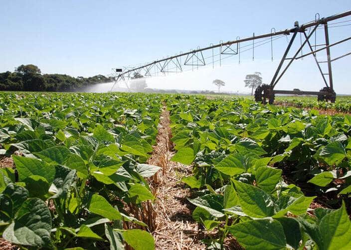 irrigacao agricultura