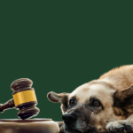 justica condenado