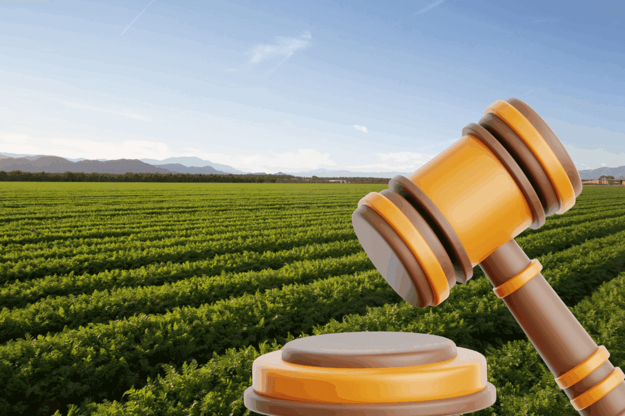 Financiamento rural com juros altos? Saiba como revisar seu contrato e reduzir o valor da dívida 85 justica