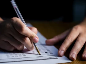 Oportunidades de carreira em Mato Grosso: Concursos e processos seletivos oferecem salários de até R$ 11,5 mil