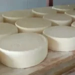 queijaria e1747822654582