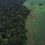 Brasnorte (MT), 09/04/2025 – Vista aérea do encontro da Floresta Amazônica com lavouras de milho e soja, na margem da Terra Indígena Erikpatsa, onde vive o Povo Rikbaktsa. Foto: Fernando Frazão/Agência Brasil