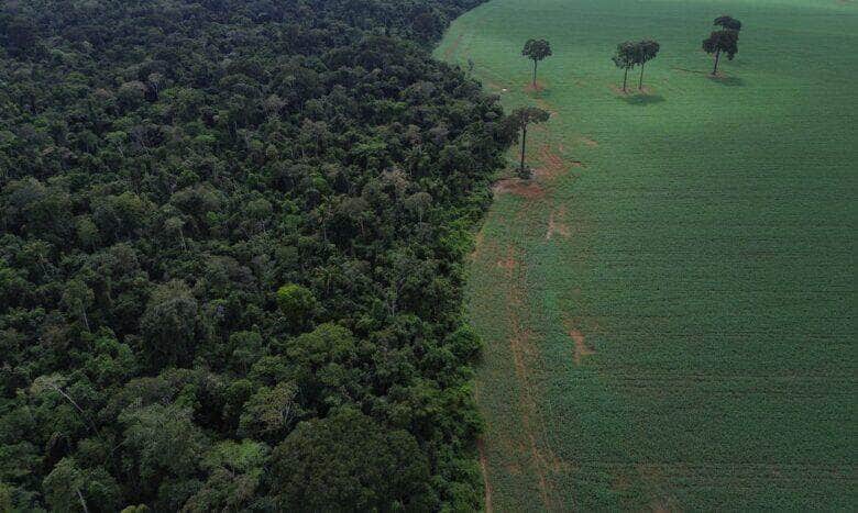 Brasnorte (MT), 09/04/2025 – Vista aérea do encontro da Floresta Amazônica com lavouras de milho e soja, na margem da Terra Indígena Erikpatsa, onde vive o Povo Rikbaktsa. Foto: Fernando Frazão/Agência Brasil