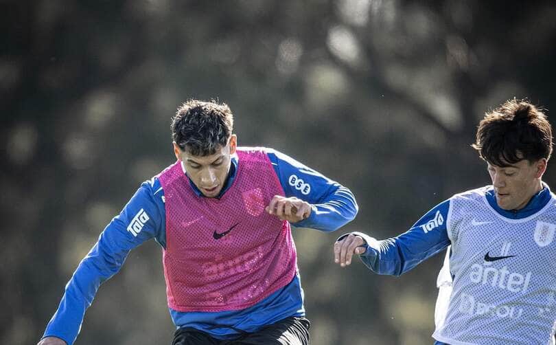 Paraguai x Uruguai: Onde assistir, escalações e tudo sobre o duelo quente das Eliminatórias. Imagem: Divulgação Seleção do Uruguai