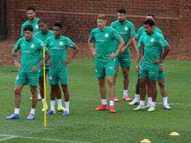 Palmeiras x Porto: onde assistir, escalações e tudo sobre o duelo no Mundial de Clubes. Imagem: Cesar Greco/Ag. Palmeiras