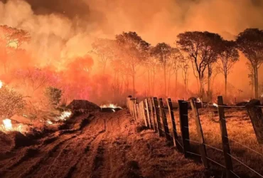 Polícia Federal inicia Operação Incêndios 2025 no Pantanal para combater crimes ambientais