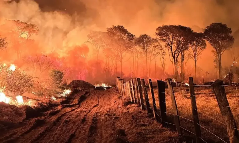 Polícia Federal inicia Operação Incêndios 2025 no Pantanal para combater crimes ambientais