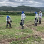 Investimentos internacionais impulsionam recuperação ambiental no programa Todos Pelo Araguaia