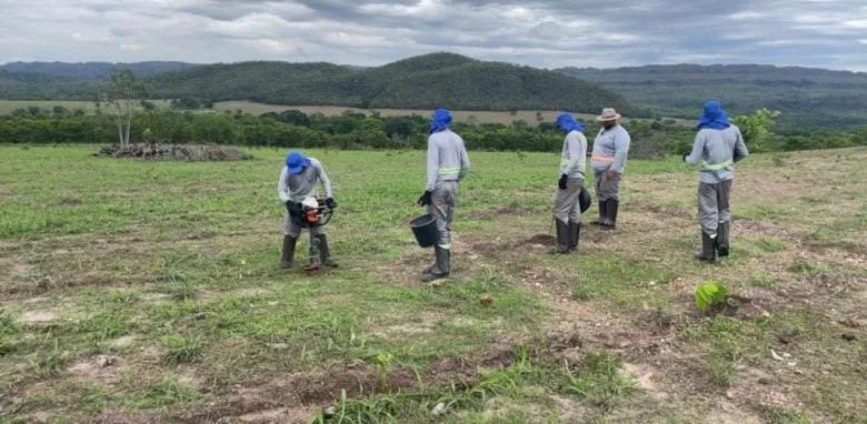 Investimentos internacionais vão ampliar áreas de recuperação ambiental em Mato Grosso