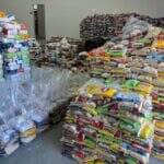 Assistencia Social de Sinop inicia distribuicao de cestas basicas arrecadadas na ExpoNorte