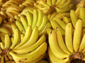 Banana Nanica 28.9.2011 645 600x400 1