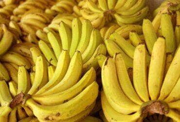Banana Nanica 28.9.2011 645 600x400 1