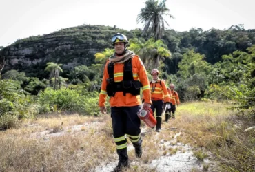 Contagem regressiva para congresso internacional sobre incêndios florestais