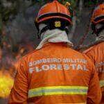 Corpo de Bombeiros de Mato Grosso realiza Congresso Internacional de Gestao de Incendios Florestais