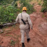 Homem segue desaparecido em área de mata em Alta Floresta; buscas entram no quarto dia