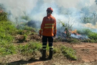Queima prescrita no parque Serra de Ricardo Franco previne incêndios em Mato Grosso