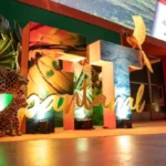 Desenvolve MT impulsiona crédito para turismo na Fit Pantanal 2025