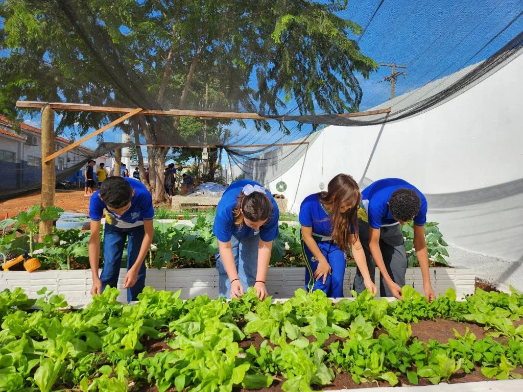 Horta escolar transforma aprendizado e incentiva alimentação saudável